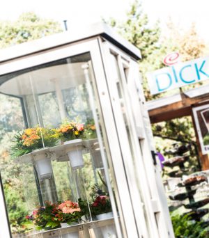 Unser Blumenautomat in der Friedensstraße 150 in Krefeld Uerdingen